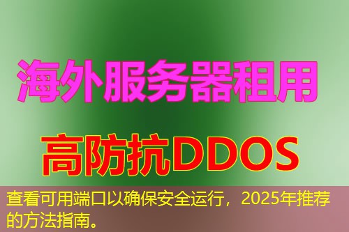 查看可用端口以确保安全运行，2025年推荐的方法指南。