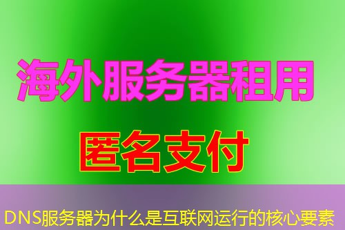 DNS服务器为什么是互联网运行的核心要素 DNS服务器为什么是互联网运行的核心要素