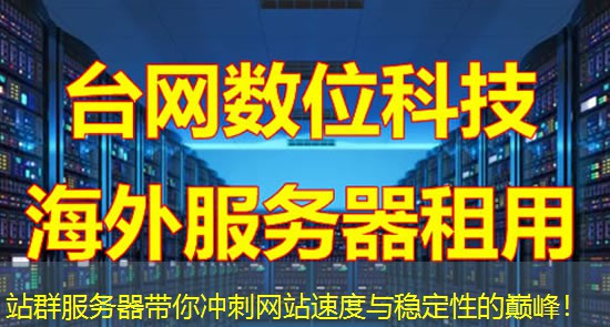 站群服务器带你冲刺网站速度与稳定性的巅峰！