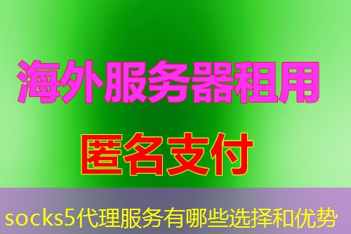 socks5代理服务有哪些选择和优势