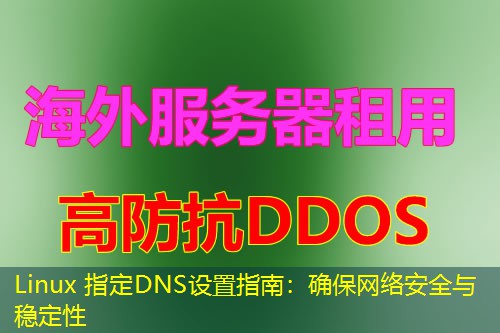Linux 指定DNS设置指南:确保网络安全与稳定性 Linux 指定DNS设置指南:确保网络安全与稳定性