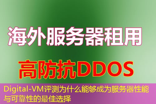 Digital-VM评测为什么能够成为服务器性能与可靠性的最佳选择 Digital-VM评测为什么能够成为服务器性能与可靠性的最佳选择