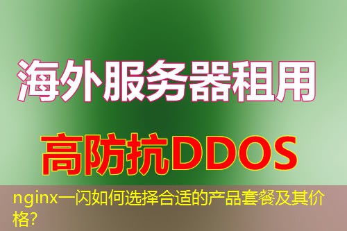 nginx一闪如何选择合适的产品套餐及其价格? nginx一闪如何选择合适的产品套餐及其价格?