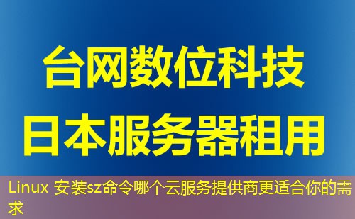 Linux 安装sz命令哪个云服务提供商更适合你的需求