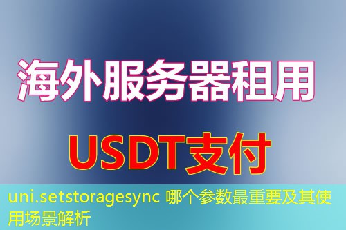 uni.setstoragesync 哪个参数最重要及其使用场景解析