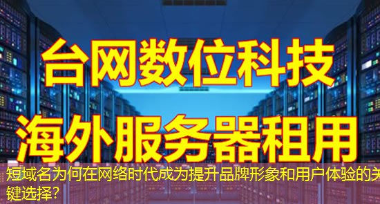 短域名为何在网络时代成为提升品牌形象和用户体验的关键选择？