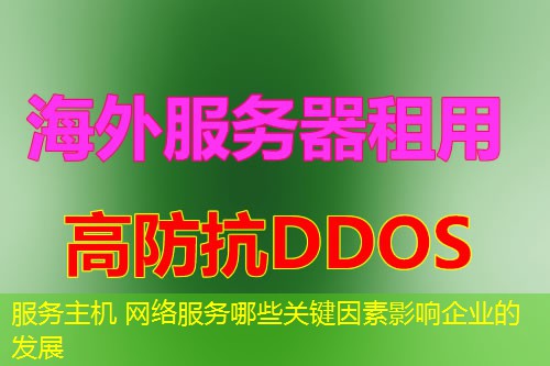 服务主机 网络服务哪些关键因素影响企业的发展