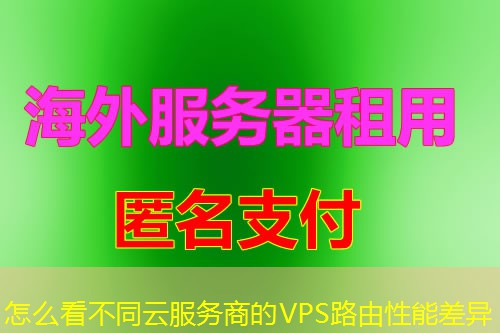 怎么看不同云服务商的VPS路由性能差异 怎么看不同云服务商的VPS路由性能差异