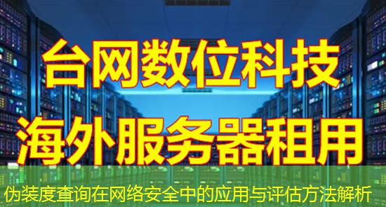 伪装度查询在网络安全中的应用与评估方法解析 伪装度查询在网络安全中的应用与评估方法解析