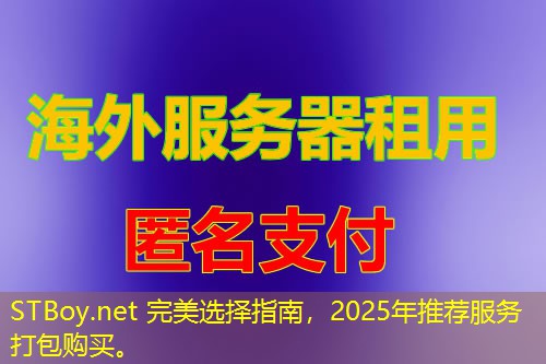 STBoy.net 完美选择指南，2025年推荐服务打包购买。