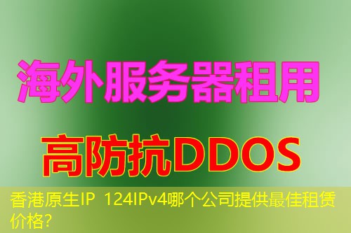 香港原生IP 124IPv4哪个公司提供最佳租赁价格? 香港原生IP 124IPv4哪个公司提供最佳租赁价格?